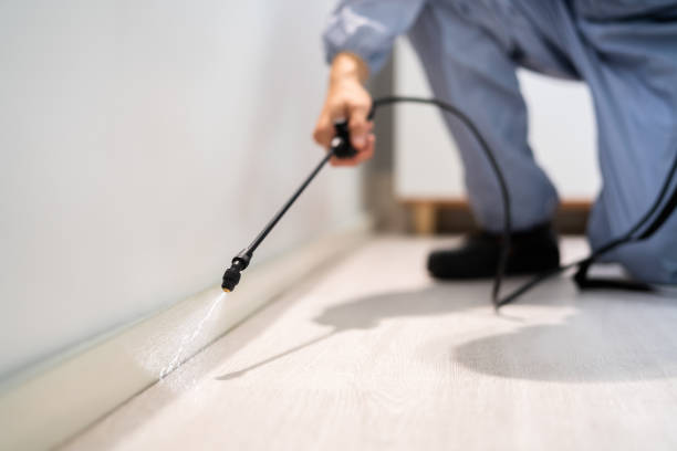 Licensed Mosquito Control service in Orlovista, FL - Show Me Pest Control
