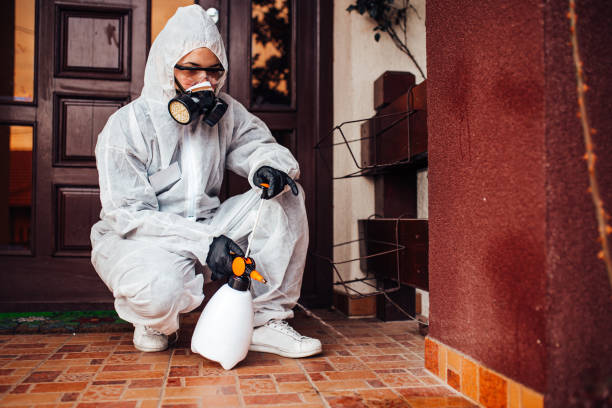 Reliable Mosquito Control contractor in Orlovista, FL by Show Me Pest Control